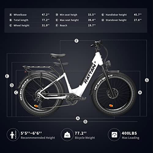 Rattan Pathfinder Electric Bike for Adults