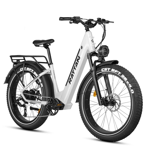 Rattan Pathfinder Electric Bike for Adults