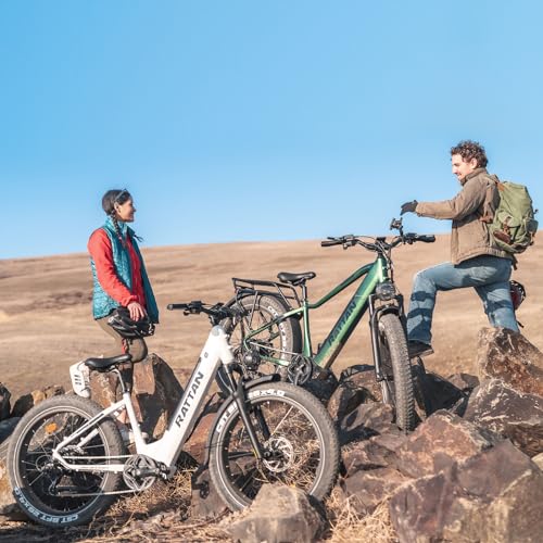 Rattan Pathfinder Electric Bike for Adults