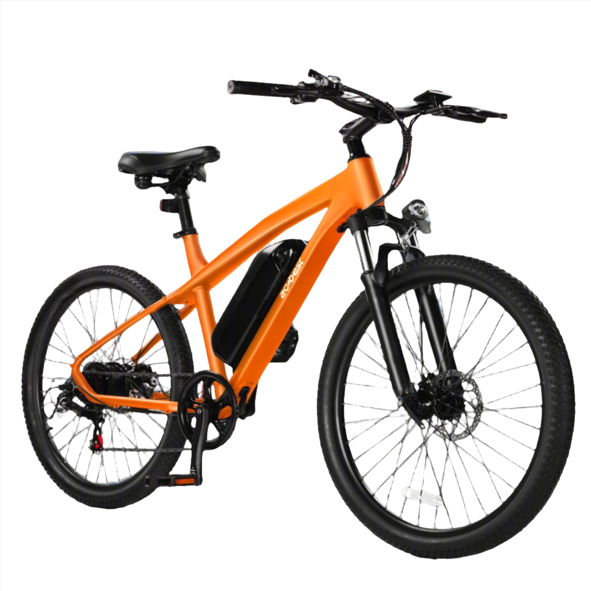 ACTBEST Race Electric Bike for Adults Ebike